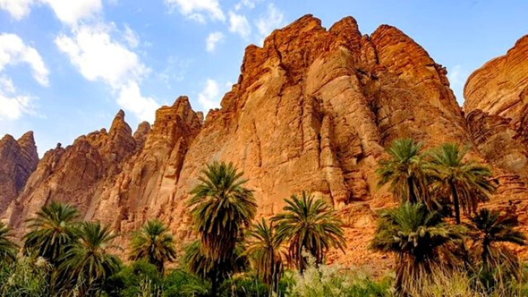 Wadi Al Disah: Exploring the Natural Beauty of Saudi Arabia in Your RV